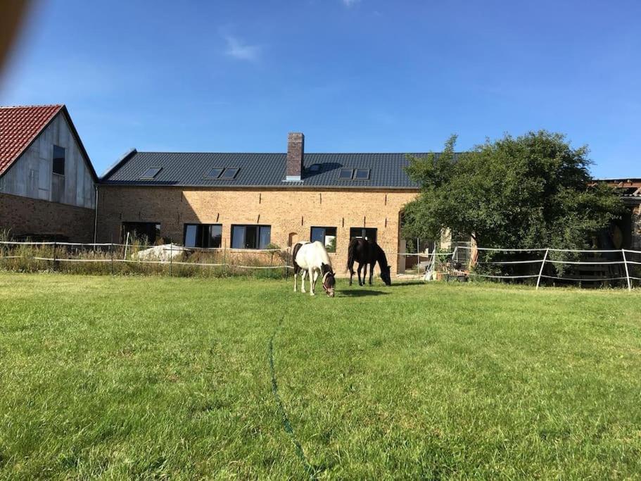 Ferienwohnung Zossen Gaestehaus Esterno foto